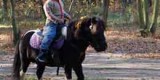 Езда на пони