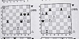 Шахматный практикум-23