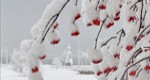 Придумали сами
