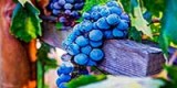 Слово, подкрепленное делом