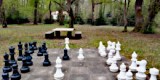 Исследования о шахматах
